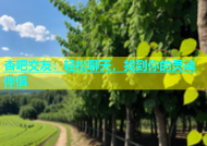 杏吧交友：轻松聊天，找到你的灵魂伴侣