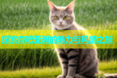 探索杏吧亚洲的魅力与风情之旅