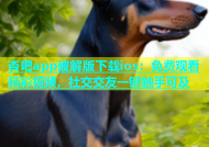 杏吧app破解版下载ios：免费观看精彩视频，社交交友一键触手可及