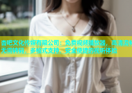 杏吧文化传媒有限公司：免费视频播放器，高清流畅无需转码，多格式支持，安全便捷的视听体验