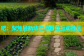 吧：聚焦最新动态与粉丝互动社区