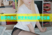 杏吧奇遇记 探索未知的乐趣与惊喜