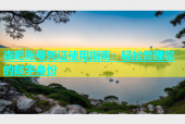 杏吧账号凭证使用指南：轻松管理您的数字身份