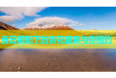 春日暖阳下的杏花盛宴与你相约
