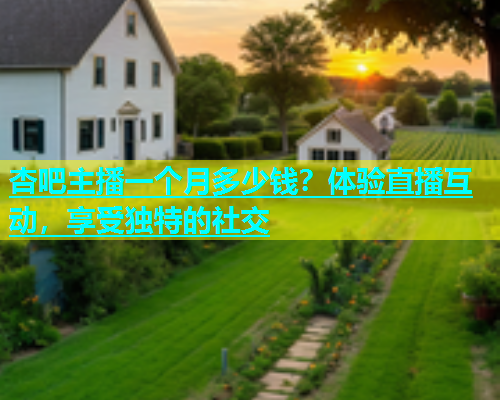 杏吧主播一个月多少钱？体验直播互动，享受独特的社交  第1张