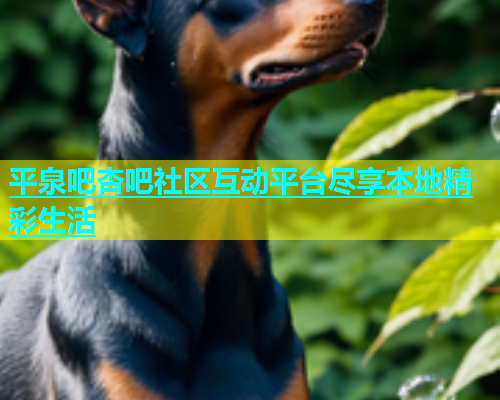 平泉吧杏吧社区互动平台尽享本地精彩生活  第2张